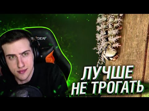 Видео: Hellyeahplay смотрит: 7 Самых Ядовитых Насекомых, Которых Лучше не Трогать