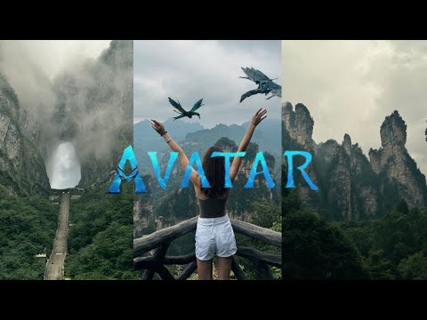Видео: влог: Путешествие в Горы Аватара 张家界|Гора Небесные ворота 天门山| Невероятные виды Китая🐉🇨🇳