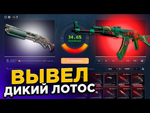 Видео: ОХОТА НА ДИКИЙ ЛОТОС! БАГОВАНЫЙ ПРОЦЕНТ В АПГРЕЙДЕ НА КЕЙСБАТЛЕ?!
