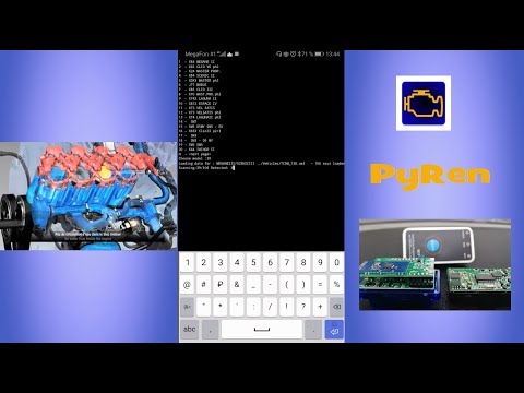 Видео: Полная инструкция по установке и работе с PyRen (2019)