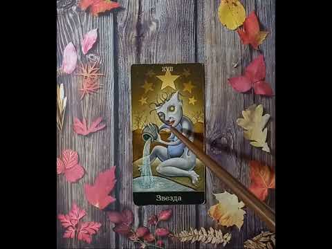 Видео: Для начинающих.Таро Безумной луны. Старший аркан Звезда