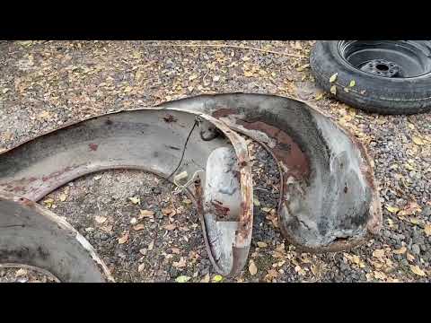 Видео: Жуки пошли косяком