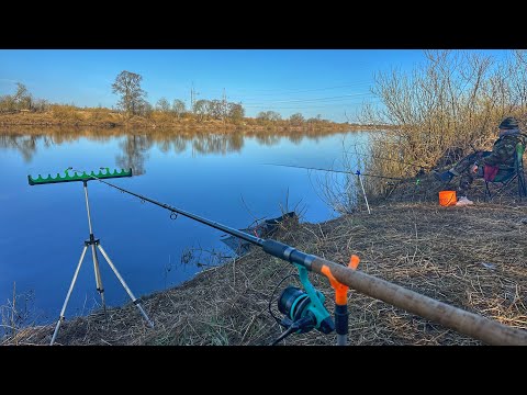 Видео: ЛОВЛЯ СЫРТИ НА ФИДЕР НА РЕКЕ ЛУГА | РЫБАЛКА С НОЧЕВКОЙ В ПАЛАТКЕ | КОСТЕР, ШАШЛЫК И ПОЛНЫЙ РЕЛАКС!