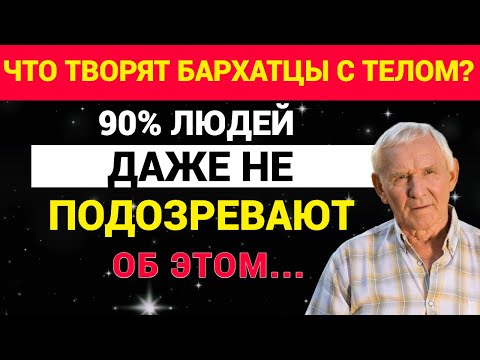 Видео: Что творят бархатцы с телом? 90% людей даже не подозревают об этом...
