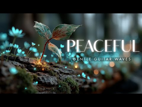 Видео: Deep Relax Guitar for Peaceful Study & Focus ~ Умиротворяющие Природные Вибрации