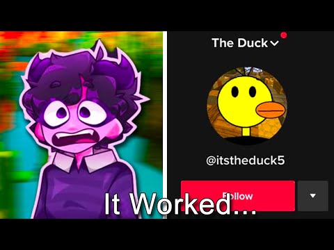 Видео: Я работал под прикрытием как PNG-блогер (ЭТО СРАБОТАЛО)...