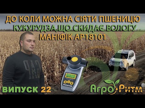 Видео: ДО КОЛИ МОЖНА СІЯТИ ПШЕНИЦЮ?КУКУРУДЗА,ЩО СКИДАЄ ВОЛОГУ.