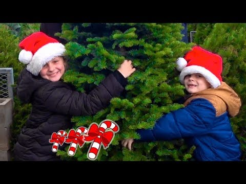 Видео: Еле нашли елку! Готовимся к Новому Году в АМЕРИКЕ НОВОГОДНИЕ ПОКУПКИ Наряжаем елку 2020