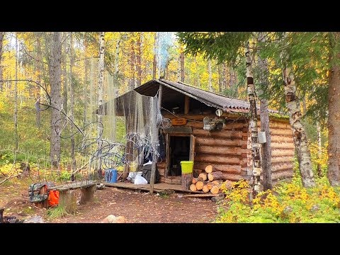 Видео: ЖИЗНЬ В ТАЙГЕ | СТРОЙКА ИЗБЫ | ЗАПУСТИЛИ ПЕЧКУ | ОХОТА И РЫБАЛКА НА СЕТИ | ЧАСТЬ 4