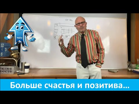 Видео: Nelo Life - Больше счастья и позитива в жизни и лидерстве - Рэнди Шрёдер - 08.10.24