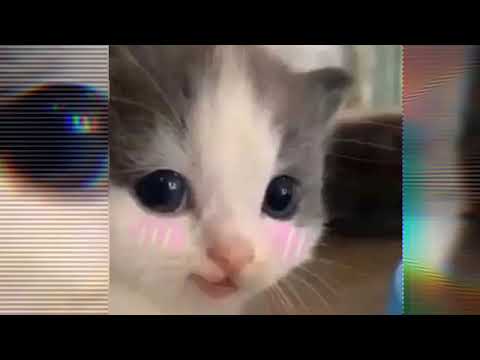 Видео: Милана старз  Maikis jornut            _= speed _=  song apaci nipucu