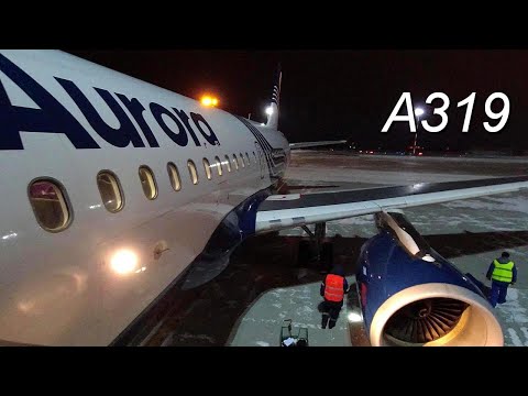 Видео: Airbus A319. Рейс Новосибирск-Хабаровск а/к Аврора.