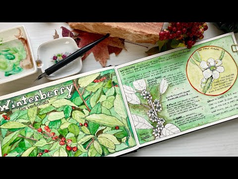 Видео: 10 советов по оформлению вашего журнала о природе