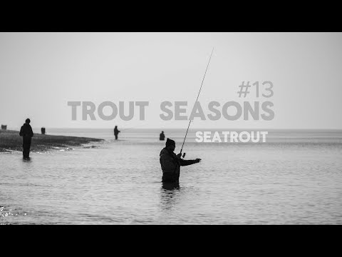 Видео: Trout Seasons #13 - В поисках морской кумжи.