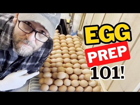 Видео: День из жизни на ферме Лонгботтом: выпуск по приготовлению яиц