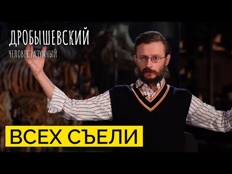 Видео: Почему вымерли животные? // Дробышевский. Человек разумный