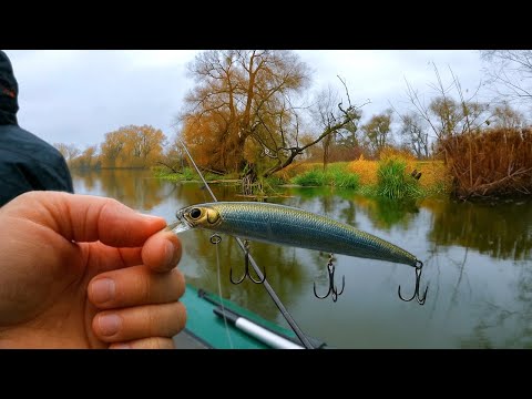 Видео: Осіння ЩУКА на річці Горинь !!! Ловля на Воблери по холодній воді !!!