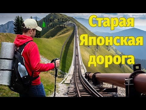 Видео: Старая Японская дорога / легкий маршрут в горах Алматы