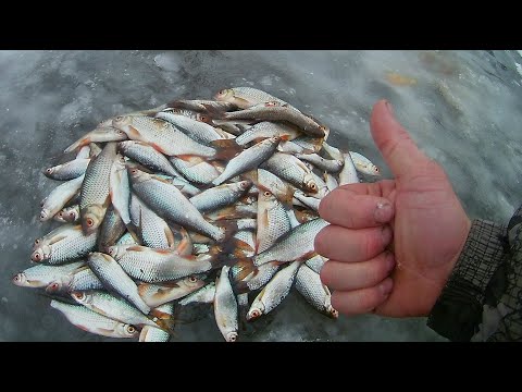 Видео: ПЕРВЫЙ ЛЁД 2023 - 24 ! Ловим сорогу на озере .