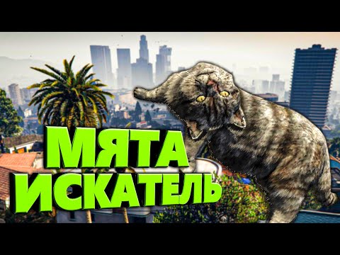 Видео: БАРСИК В ПОИСКАХ МЯТЫ в GTA 5🐅 ЗАМУРЧАТЕЛЬНЫЙ КОТ на Majestic RP