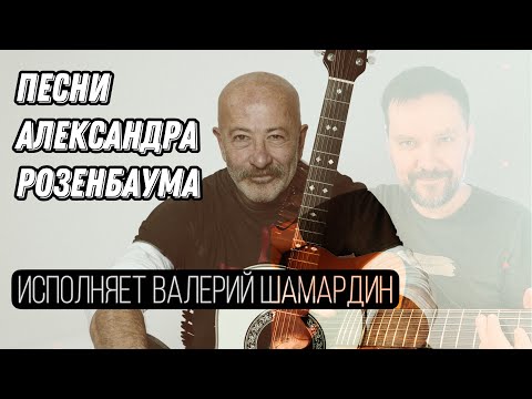Видео: Песни Александра Розенбаума (Исп. В.Шамардин) Гитара Maton Valery Shamardin Custom