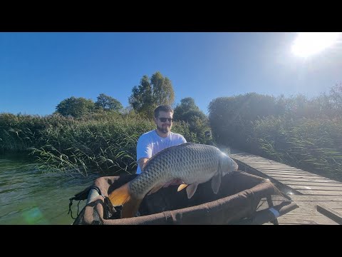 Видео: Осенний карпфишинг. Или тихая охота на монстра Генезиса... 