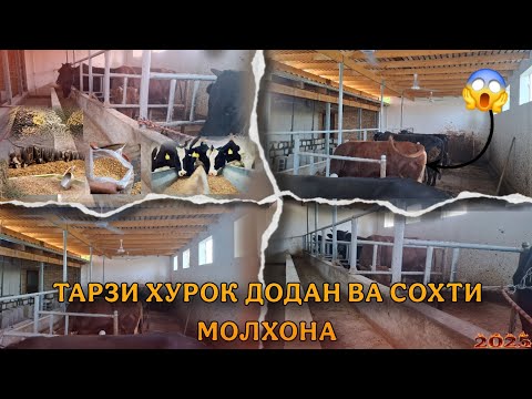 Видео: 😱БОЗ ЯК МОЛХОНАИ ДИГАР ВА ТАРЗИ ХУРОК ДОДАН😱. 7 сентября 2025 г