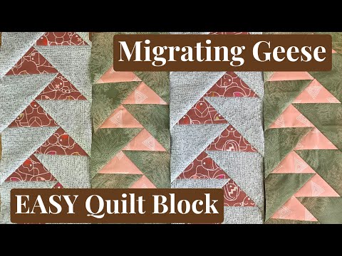 Видео: Учебное пособие по миграции гусей