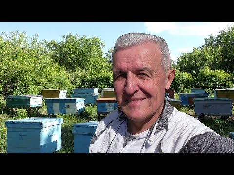 Видео: Что будет, если сильную семью не посещать 14 дней?