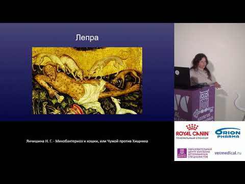 Видео: Янчишина Н. Г. - Микобактериоз и кошки, или Чужой против Хищника