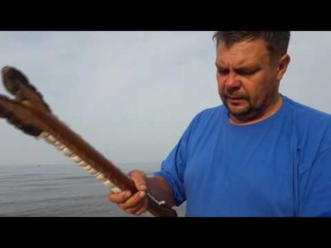 Видео: Ловля корабликом. Байкал, Паньковка.