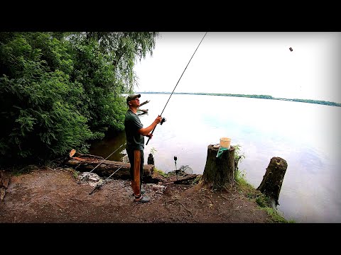 Видео: Фідер, це просто розрив крупняка на Дніпрі!