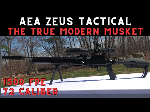 Видео: Пневматическое оружие мощнее AR-15 калибра 5,56 мм — AEA Zeus Tactical 72 Caliber — это безумие.