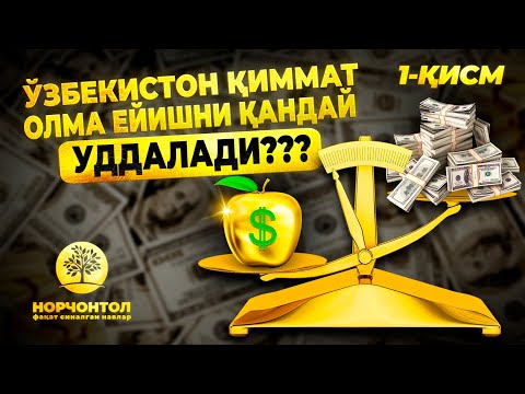 Видео: 1-ҚИСМ | ЎЗБЕКИСТОН ҚИММАТ ОЛМА ЕЙИШНИ ҚАНДАЙ "УДДАЛАДИ" ??? 1-ҚИСМ     #шуҳратаброрв #uzbekistan