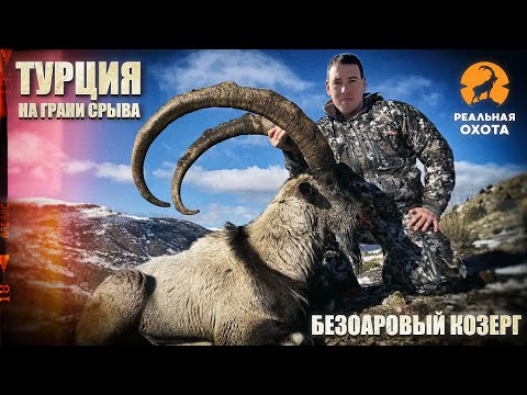 Видео: РЕАЛЬНАЯ ОХОТА В ТУРЦИИ | БЕЗОАРОВЫЙ КОЗЕРОГ | НА ГРАНИ СРЫВА