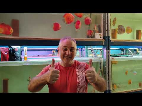 Видео: PH Воды в аквариуме и что это такое ?