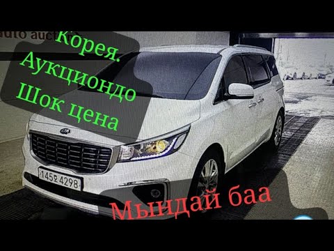 Видео: Кореяда аукцион кызып жатат. +8210-8209-2101 Акжол