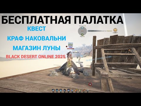 Видео: Бесплатная палатка, гайд для новичка Black Desert Online 2025!