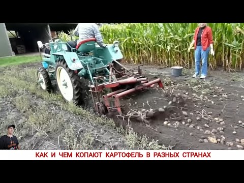 Видео: КАК И ЧЕМ КОПАЮТ КАРТОФЕЛЬ В РАЗНЫХ СТРАНАХ,ПОДБОРКА /HARVESTING POTATOES IN DIFFERENT COUNTRIES
