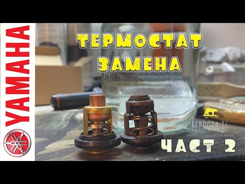 Видео: YAMAHA FT60D ЗАМЕНА ТЕРМОСТАТА!!! КОНСЕРВАЦИЯ !!