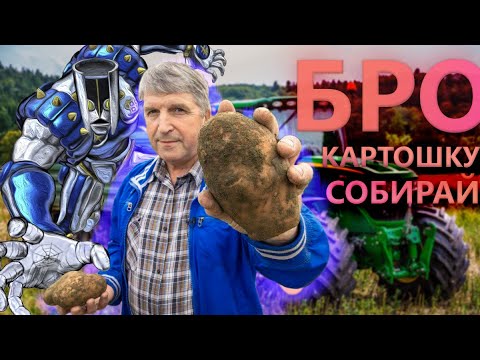 Видео: Думаем про уверенность, смысл существования и картошку