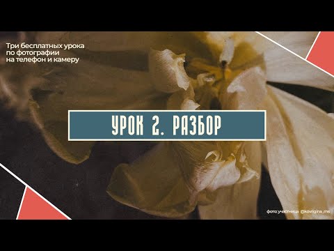 Видео: РАЗБОР ВТОРОГО УРОКА БЕСПЛАТНОГО ПО ФОТОГРАФИИ