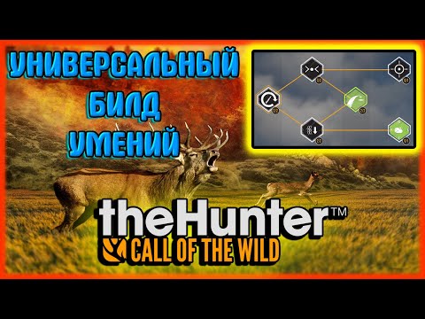 Видео: The Hunter Call of the Wild .📖УНИВЕРСАЛЬНЫЙ БИЛД 📚УМЕНИЯ📑ВСЕ ДЛЯ КОМФОРТНОЙ ИГРЫ🎮