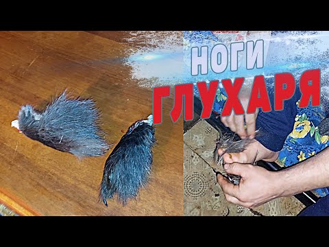 Видео: ЛАЙФХАТ. ЛАПКИ ГЛУХАРЯ. Чтобы ноги не потели.