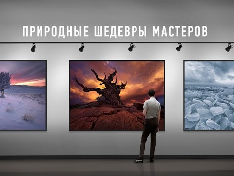 Видео: Природные шедевры мастеров. Дмитрий Шатров