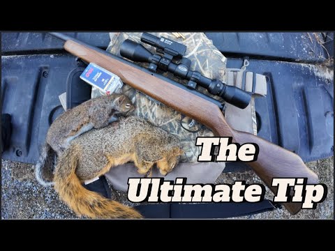 Видео: 17 HMR в огне! Безумный экшн с пушистым хвостом