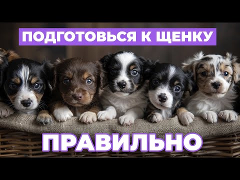 Видео: Все о щенках: от подготовки до воспитания. Руководство для новых собаковладельцев