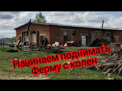 Видео: Поднимаем ферму с кален за накопленные средства
