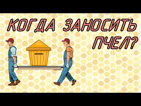 Видео: Когда надо заносить пчел в омшаник? Замеры влажности и температуры внутри улья и зимовника