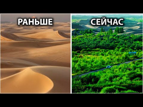 Видео: Всего За 60 Лет Китайцы Превратили Пустыню в Цветущий Оазис